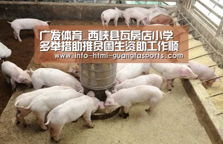 广发体育_西峡县瓦房店小学多举措助推贫困生资助工作顺利进行(图1) 广发体育官网